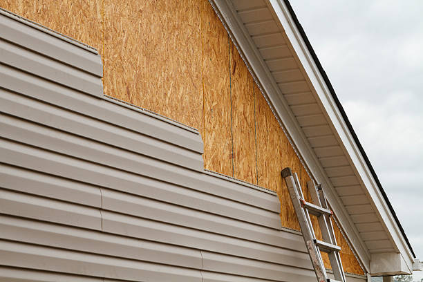 Professional Wood Siding technician working in Litchfield, IL